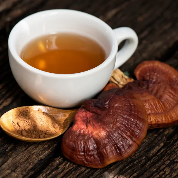 Best Reishi Mushroom Supplement the Longevity Immortality Mushroom